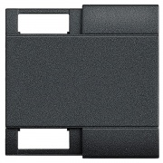 LivingLight Клавиша с 2 отверстиями для вставки символа, размер 2 модуля, цвет антрацит